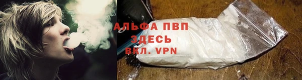 твердый Алзамай