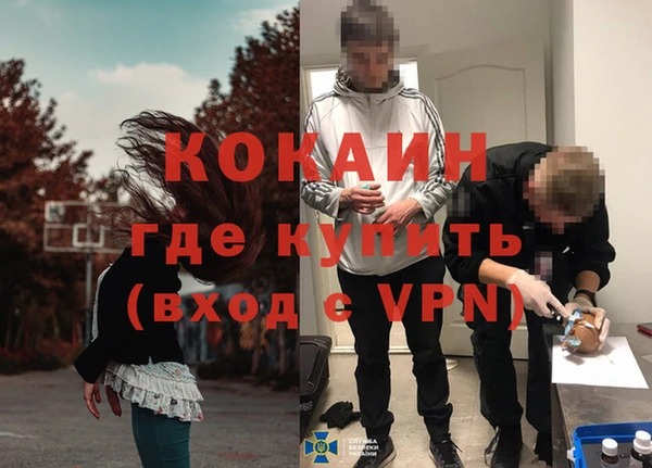 дмт Касимов