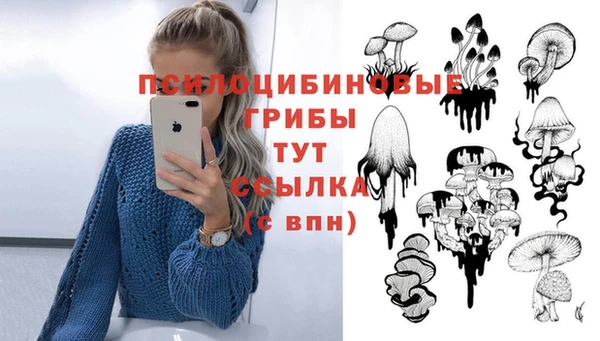 твердый Алзамай
