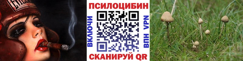 что такое   Ветлуга  Псилоцибиновые грибы Psilocybe 